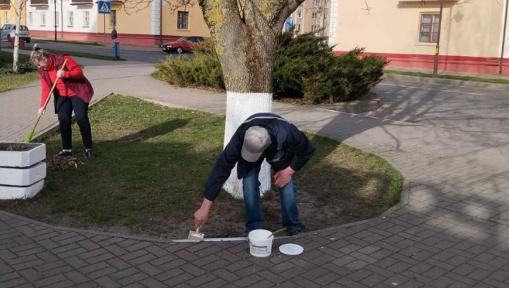 СТ ОАО «СВІТАНАК» провел субботник